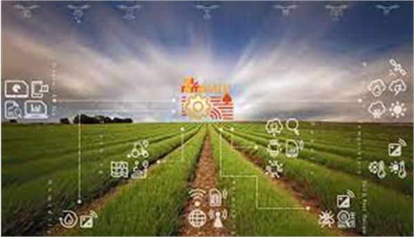 بررسی پروپوزال شرکتهای فعال در زمینه هوشمندسازیِ فعالیتهای زراعی