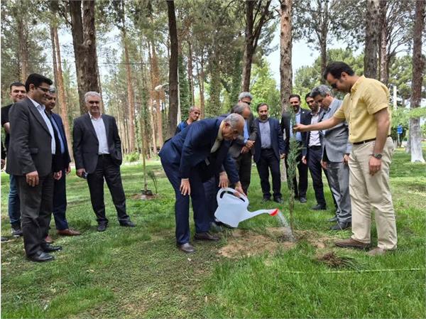 در لبیک به پیام مقام معظم رهبری؛ «نهال امید» توسط مدیرعامل شرکت توسعه خدمات مهندسی آب و خاک پارس غرس شد