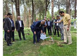 در لبیک به پیام مقام معظم رهبری؛ «نهال امید» توسط مدیرعامل شرکت توسعه خدمات مهندسی آب و خاک پارس غرس شد